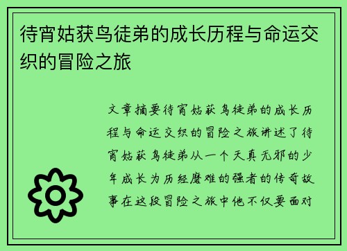 待宵姑获鸟徒弟的成长历程与命运交织的冒险之旅